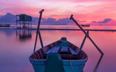 Optimizing Social Media Management for the Healthcare Industry