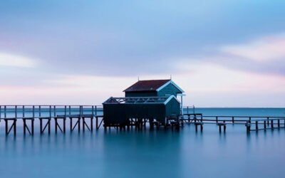 Mastering the Art of Social Media Management in Education